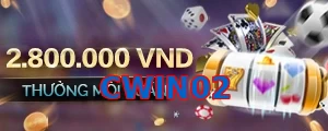 CWIN02