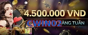CWIN02
