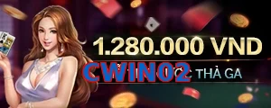 CWIN02