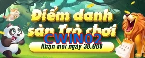CWIN02