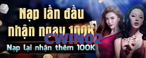 CWIN02