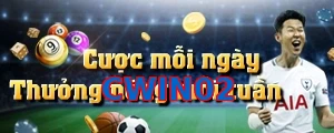 CWIN02