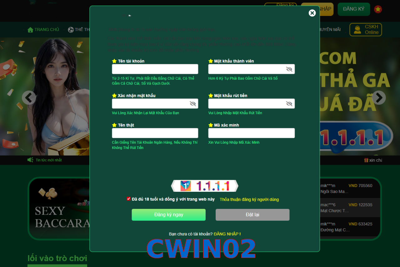 CWIN02